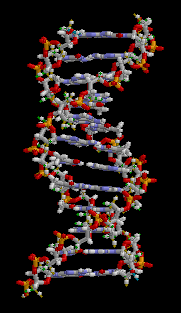 dna-animation
