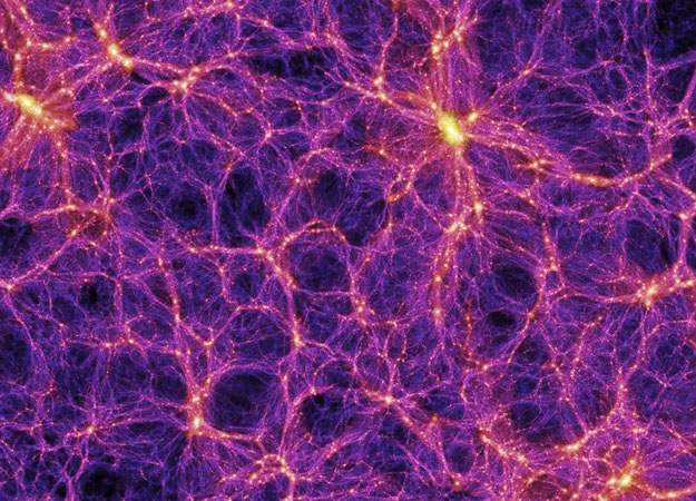 This image is what cosmologists believe the Universe looks like from an extreme zoomed-out perspective. Each tiny dot of light is an entire galaxy. Each galaxy is part of many thousands or more that form filaments, which surround huge voids of space. But from this view, it looks eerily similar to neurons connected in brain tissue. 